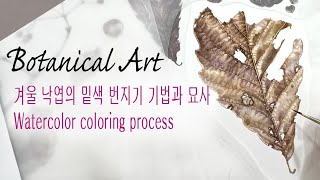 Botanical Art 겨울낙엽의 밑색 번지기와 묘사 Watercolor coloring process물이 충분히 스며든 종이는 물감의 번지기 기법에 중요한 포인트 [upl. by Nallek]