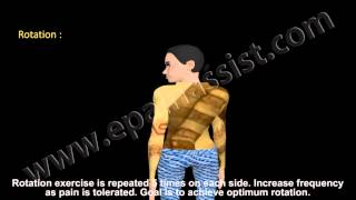 8 Exercises To Prevent Neck Pain [upl. by Orips742]