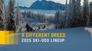 The 2025 SkiDoo Lineup is Here [upl. by Fendig565]