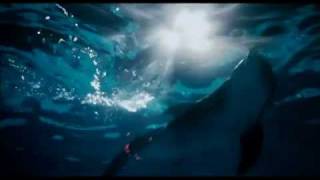 Dolphin Tale 2011  HD Official Trailer [upl. by Brinna]