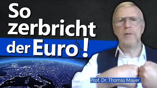 Inflation bekämpfen und Euro stabilisieren So funktionierts – Interview mit Thomas Mayer [upl. by Meenen]