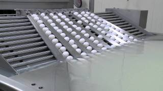 Take a look at how Willamette Egg Farms produces hardboiled egg products [upl. by Nosraep247]