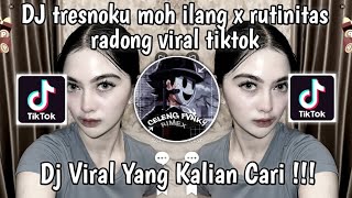 DJ TRESNOKU MOH ILANG X RUTINITAS RADONG VIRAL TIKTOK [upl. by Damicke]