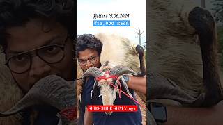 Retteri Market 2024  15062024 BAKRID 2024  2024 goat sheep animals india shorts reels [upl. by Crin25]