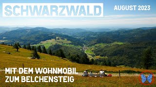 Schwarzwald  Mit dem Wohnmobil zum Wiedener Eck  Wanderung auf dem Belchensteig [upl. by Jangro]