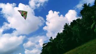 my rc kite plane flying 😜 [upl. by Lehacim]