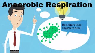 Anaerobic Respiration Fermentation [upl. by Dysart319]