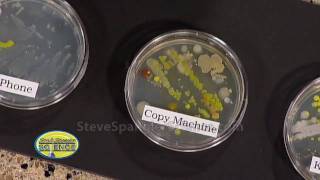 Growing Bacteria  Petri Dish [upl. by Charis702]