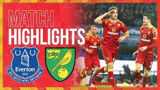 HIGHLIGHTS  Everton 02 Norwich City  Cantwell And Srbeny On Target In Merseyside [upl. by Sorkin946]