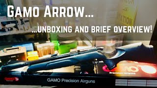 First look at my new Gamo Arrow PCP in 22 cal [upl. by Resaec]