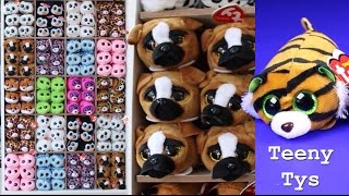 Ty Teeny Tys Full Display Set Up Ty Beanie Boo Doll Collection Beanie Boos [upl. by Christmann]