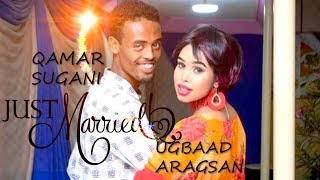 MAXAMED BK  BEST NEW AROOS SONG  HAMBALYADII QAMAR SUGANI IYO UGBAAD ARAGSAN [upl. by Mahsih839]