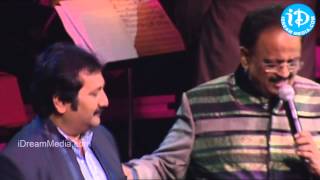 Botany Patamundhi Song  Maestro Ilaiyaraaja Music Concert 2013  Telugu  New Jersey USA [upl. by Ennaid]