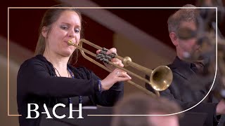 Bach  Easter Oratorio Kommt eilet und laufet BWV 249  Van Veldhoven  Netherlands Bach Society [upl. by Avlis278]