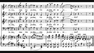 Wolfgang Amadeus Mozart  Requiem in D minor K 626 [upl. by Enilarak]