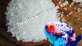 Epsom salt and goldfish Back to basics [upl. by Iliak]