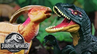 Dinosaur Battles Concavenator VS Parasaurolophus  Jurassic World  Mattel Action [upl. by Inavoig]