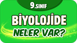 9 Sınıf Biyolojide Neler Var Biyoloji Dersine Nasıl Çalışır  🤔 [upl. by Lynn96]