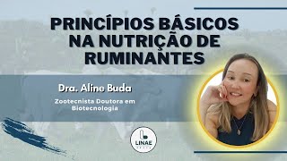 Princípios Básicos na Nutrição de Ruminantes [upl. by Chelton281]