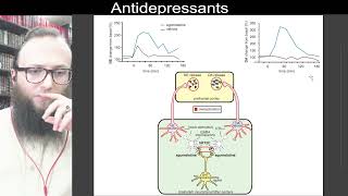 07 26  Agomelatine releases norepinephrine and dopamine in the prefrontal cortex [upl. by Cleopatra460]