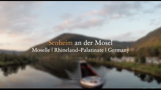 Senheim an der Mosel  hiking at the moselle river Region Cochem Moselsteig [upl. by Ai]