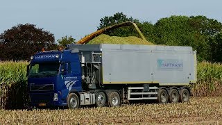 Mais Hakselen 2018  Part 2  Loonbedrijf Hartmann  NH FR9060  Steyr terrus  Volvo FH440 [upl. by Levram]