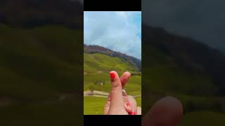 Nature Mountain MunnarKeralaNPS official shortvideo [upl. by Ensoll]