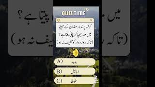 Islamic quiz islam islamicviralshorts 1millionviews shortfeeds quranismylifeshortsviralshort [upl. by Saloma833]