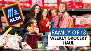 Shop With Me Weekly ALDI GROCERY HAUL Whats New 2024✨ [upl. by Aicila]