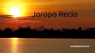 Joropo Recio  Instrumental [upl. by Itsuj]