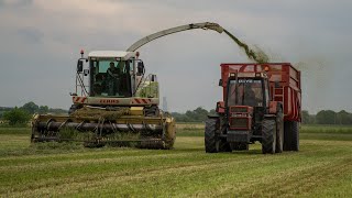 Claas Jaguar 850 à lensilage dherbe en Charente Maritime [upl. by Schwarz]