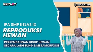 Reproduksi Hewan Perkembangan Hidup Hewan Secara Langsung dan Metaformosis  SMP Kelas 9  Part 4 [upl. by Lidda693]