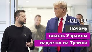 «Между Трампом и Зеленским много общего» Киев верит в «простые решения» Комик и бизнесмен это сила [upl. by Amilb]