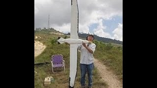 Albatross Bird Diomedea Exulans motorized glider [upl. by Olyhs]