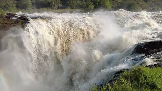 Worlds most Powerful Waterfall  Murchison Falls National Park  Uganda [upl. by Gurney704]