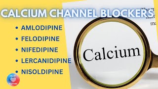 Calcium channel blockers  Amlodipine Felodipine Lercanidipine Nifedipine [upl. by Nylatsirk]