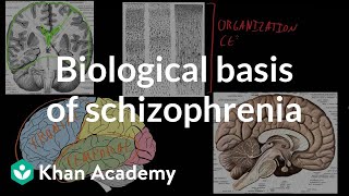 Biological basis of schizophrenia  Behavior  MCAT  Khan Academy [upl. by Ahsetan]