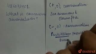 What is commensalism and amensalism  CLASS 12  ORGANISMS AND POPULATIONS  BIOLOGY  Doubtn [upl. by Mandle]