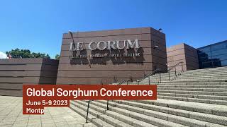 Global Sorghum Conference EN [upl. by Eerased]