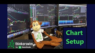 Setup  ThinkorSwim  TD Ameritrade  Trading Platform [upl. by Oiliduab624]