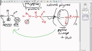 level 3 polymers [upl. by Ajat935]