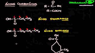 ACIDOS CARBOXILICOS FORMULACIÓN QUÍMICA ORGÁNICA 1214 Mistercinco [upl. by Akemahc]