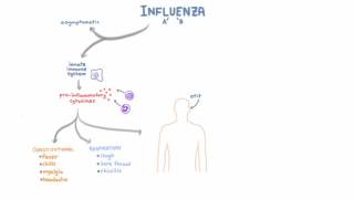 Influenza Infection  Clinical Symptoms and Presentation [upl. by Pickett]