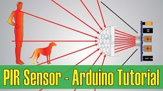 How PIR Sensor Works and How To Use It with Arduino [upl. by Sirraj]