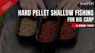 Hard Pellet Shallow Fishing for Big Carp At Makins Fishery [upl. by Revilo]