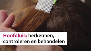 Hoofdluis  herkennen controleren en behandelen [upl. by Benildas]