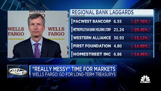 No visible sign of recession just yet says Wells Fargo Securities Michael Schumacher [upl. by Atikahc]