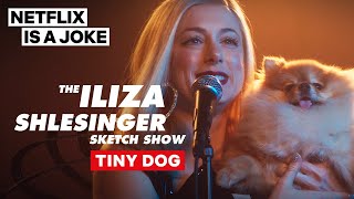 Tiny Dog Full Sketch  The Iliza Shlesinger Sketch Show  Netflix Is A Joke [upl. by Andrien682]