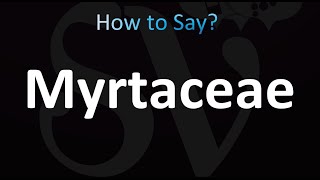 How to Pronounce Myrtaceae correctly [upl. by Ahsinnod]