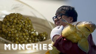 The Worlds Best Caviar Now Made in China MUNCHIES Presents [upl. by Adnical]